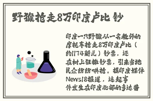 农夫成人导航